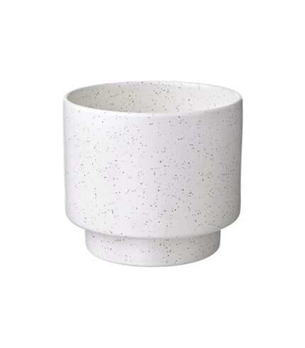 Drakfrukt - 图片 2