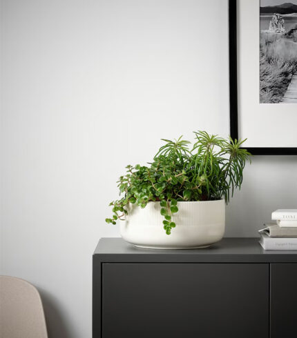 ONION grey - 图片 5